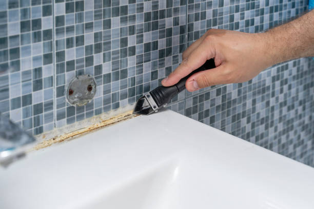 Best Localized Mold Remediation (e.g., coastal areas, humid climates) in Scotchtown, NY