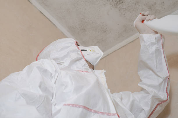 Best Bathroom Mold Remediation in Scotchtown, NY